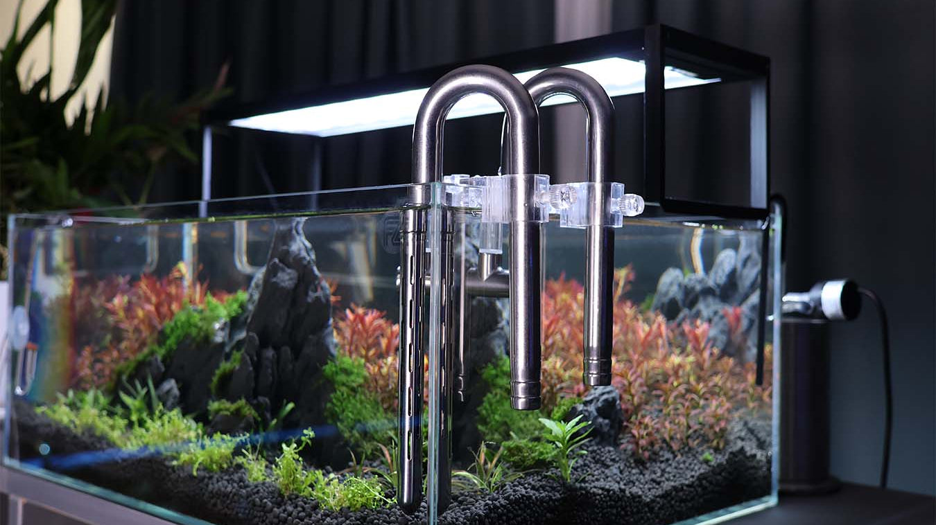 Optimizing Inflow and Outflow: The Key to a Healthy Aquarium System