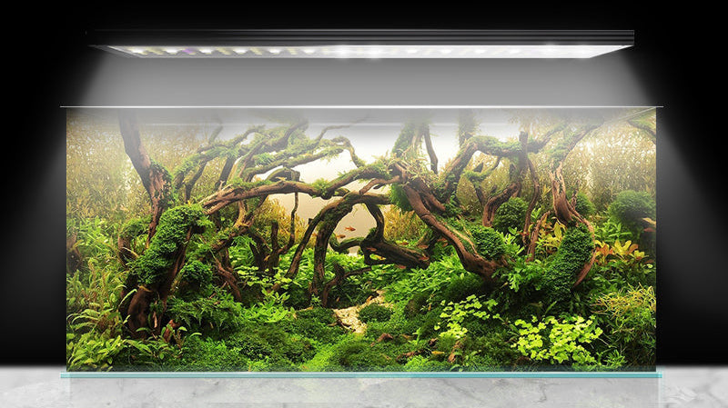 The Magic of Light: Uncovering the Secrets to a Vibrant Aquarium World