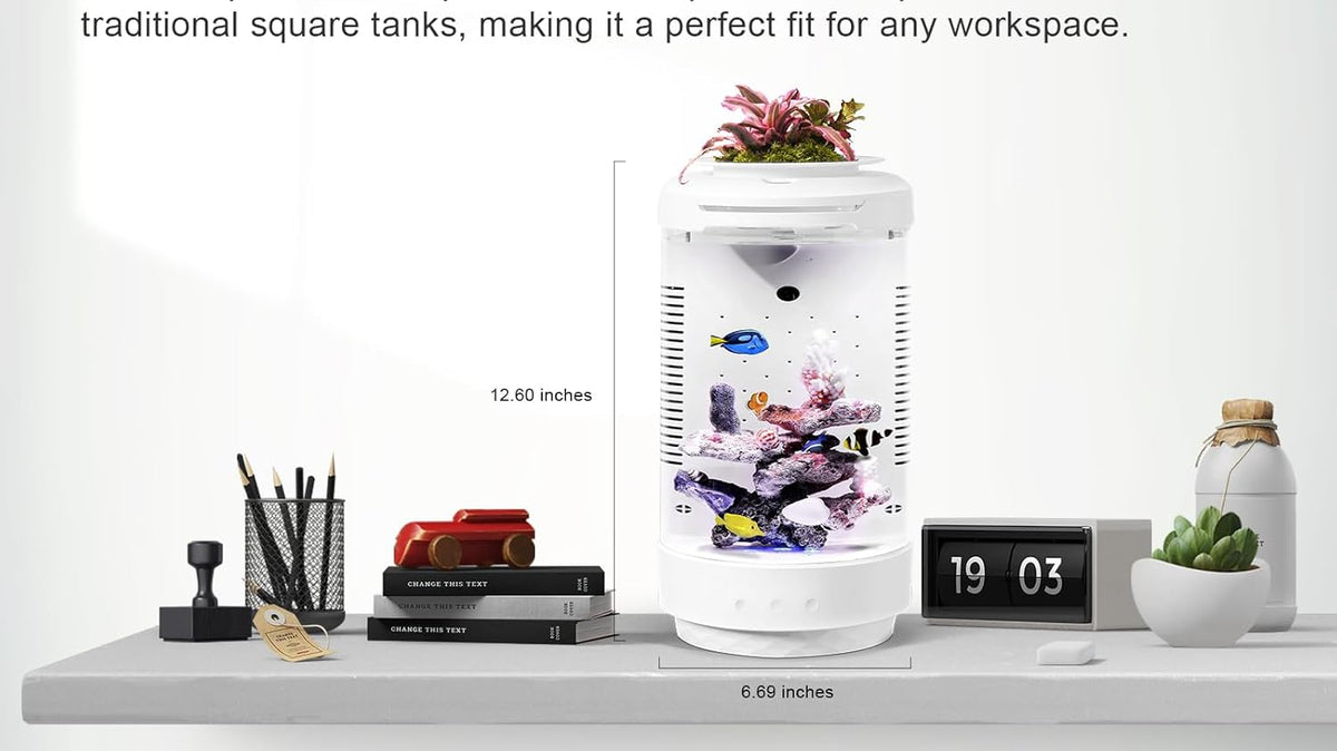A Mini Cylindrical Aquarium That Brings Nature to Your Desk🌿