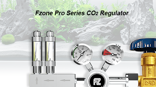 Unveiling the Secrets of CO2 Systems: How to Bring Your Planted Tank to Life