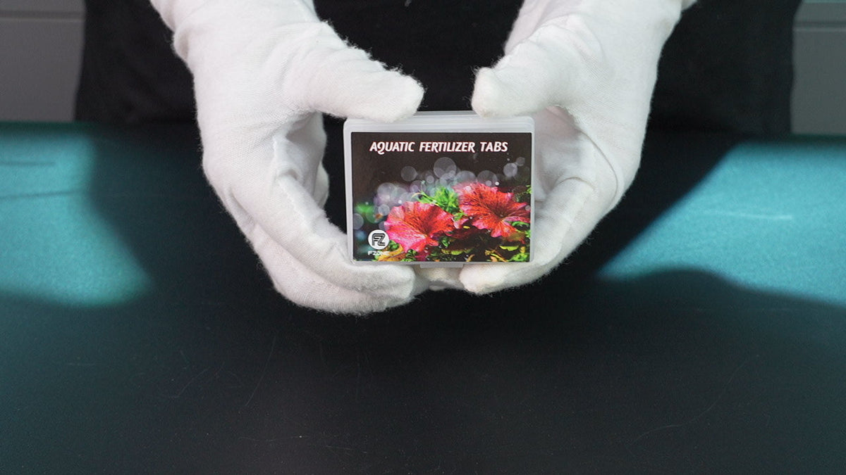 The Impact and Role of Root Fertilizers on Aquarium Plants – Fzone Studio