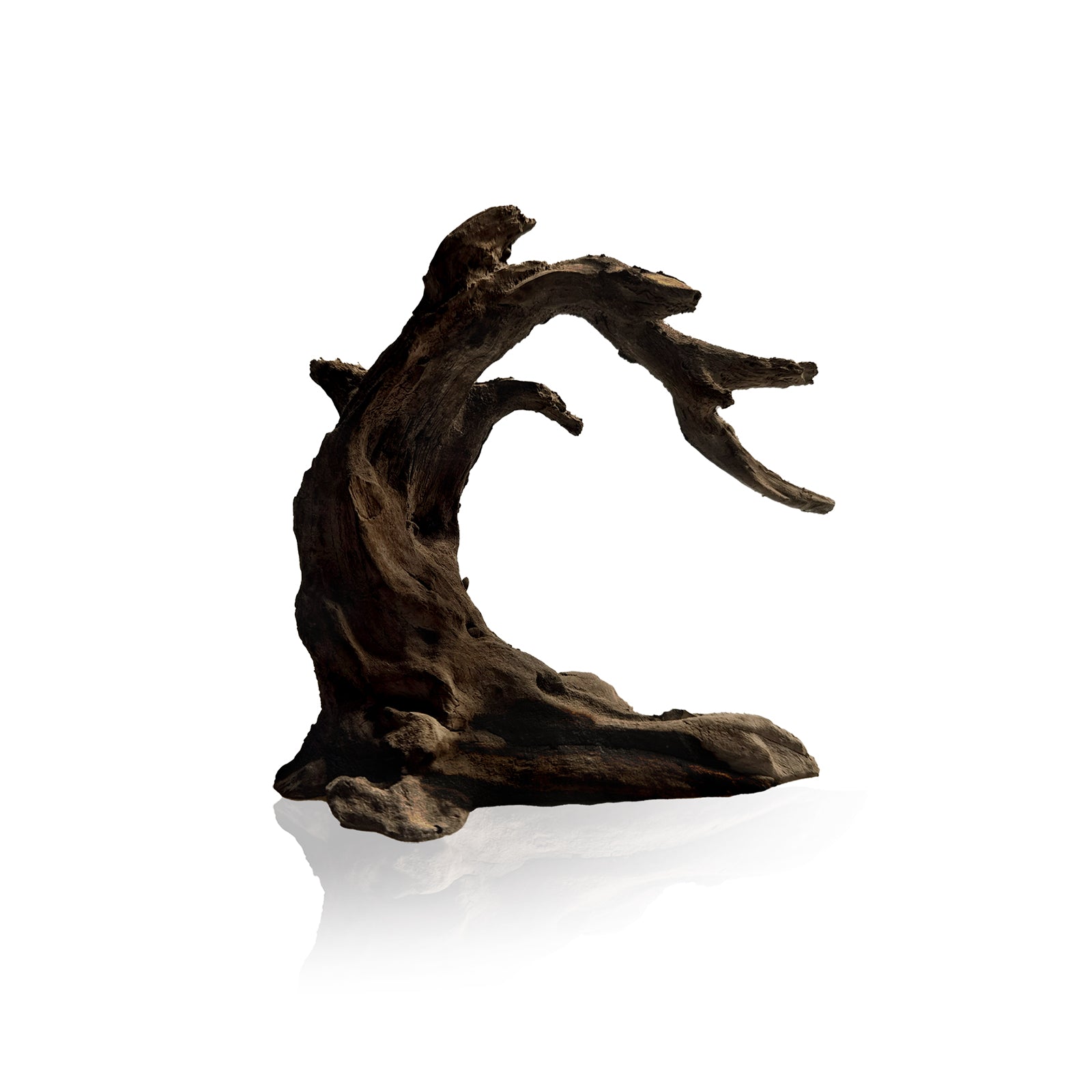 22_8145c087-f4f3-4bbb-8329-