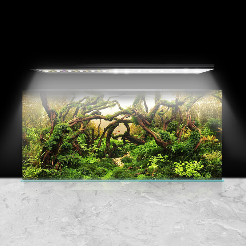 The Magic of Light: Uncovering the Secrets to a Vibrant Aquarium World