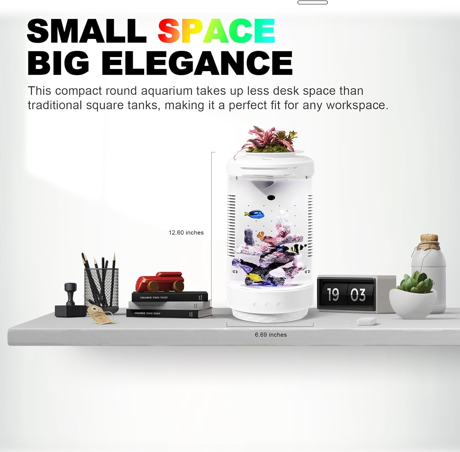 A Mini Cylindrical Aquarium That Brings Nature to Your Desk🌿
