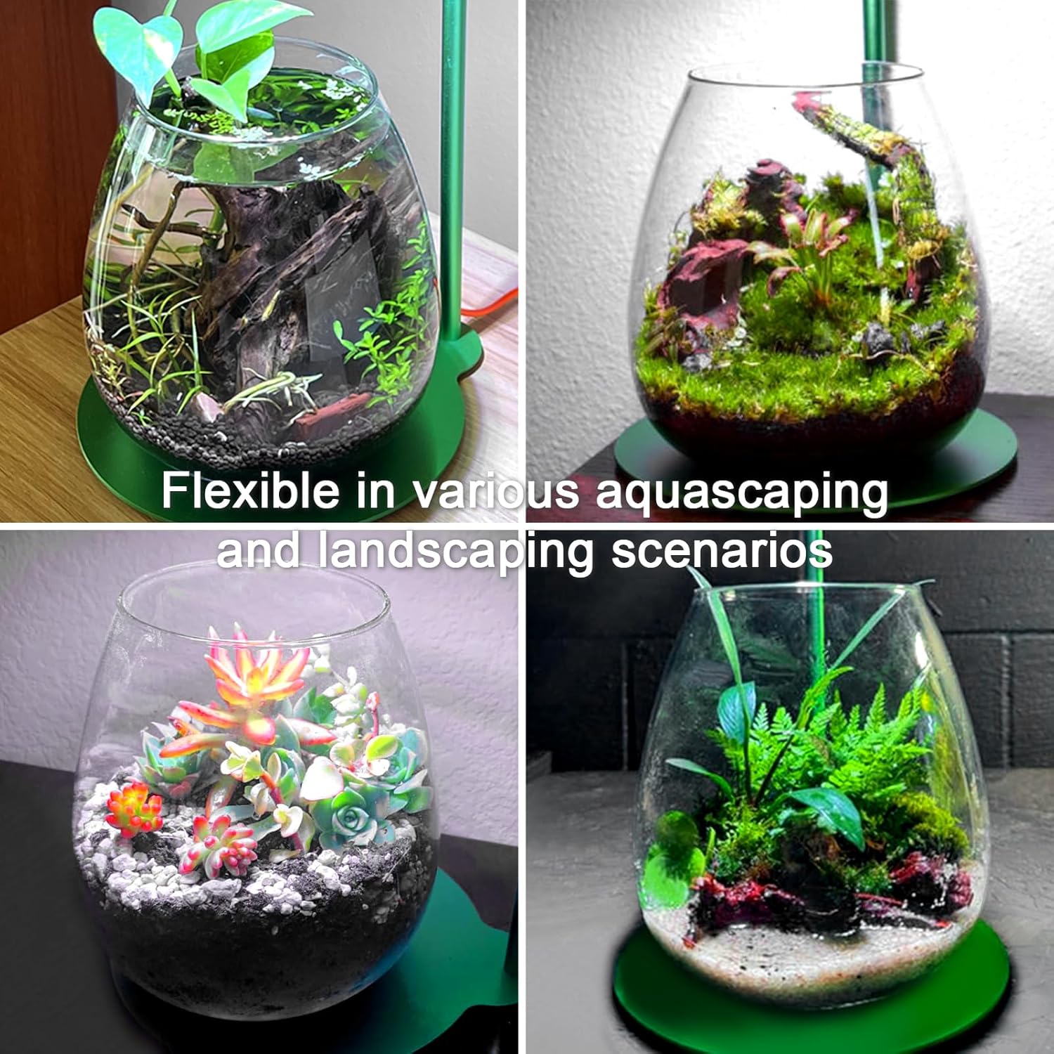 FZONE Micro Landscape System - Moss Terrarium Set with LED Light