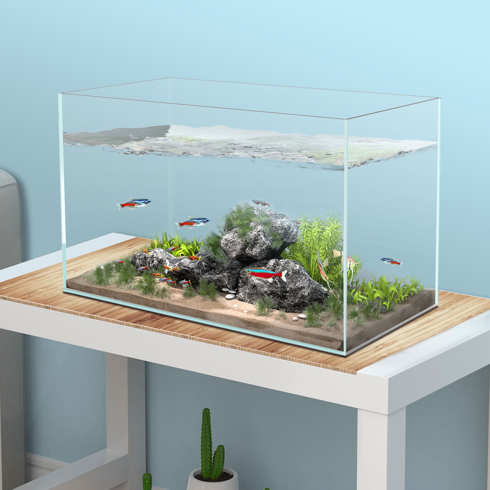 Rimless 2024 fish tank