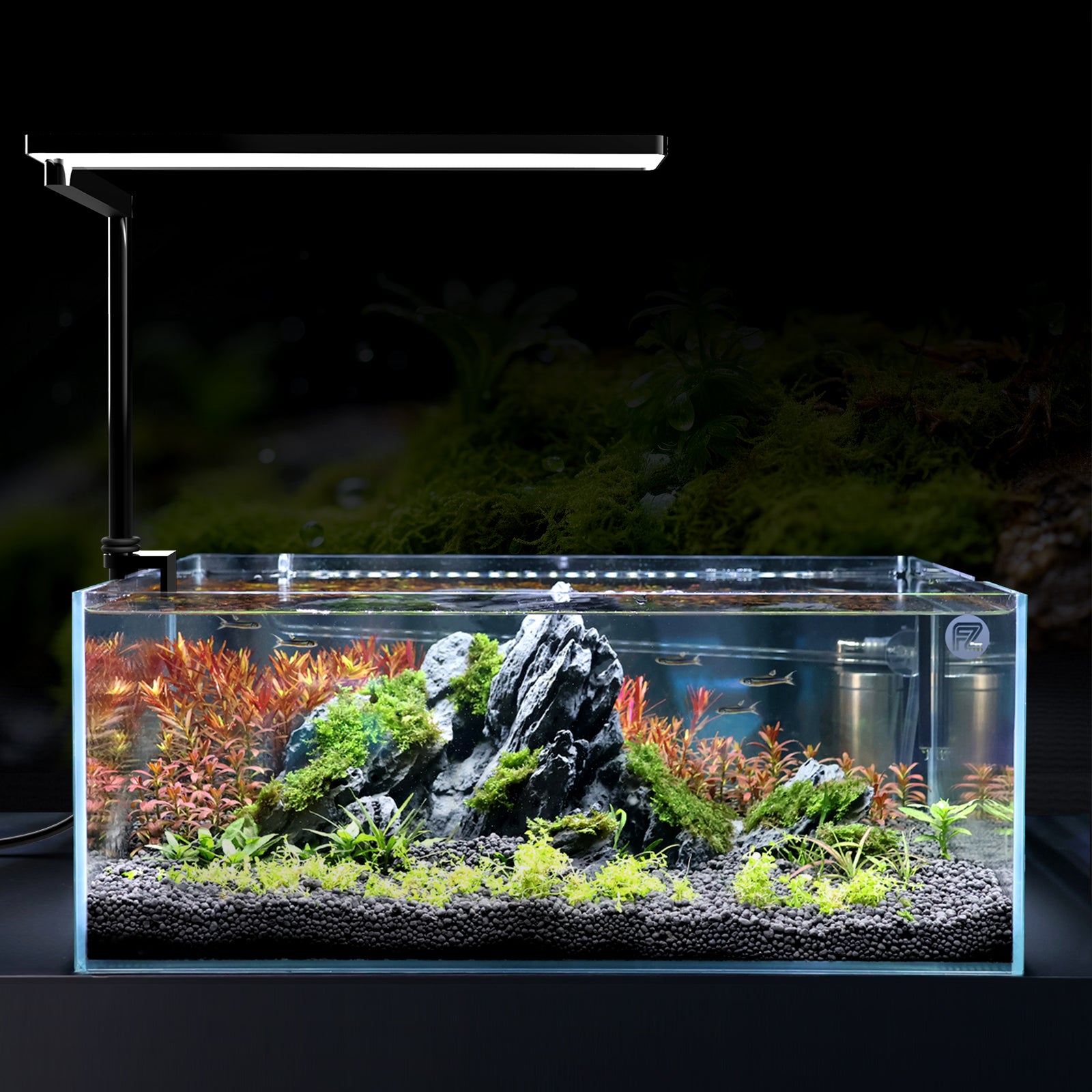 Solo Series Nano Aquarium LED Light (for Freshwater Tanks) – Fzone