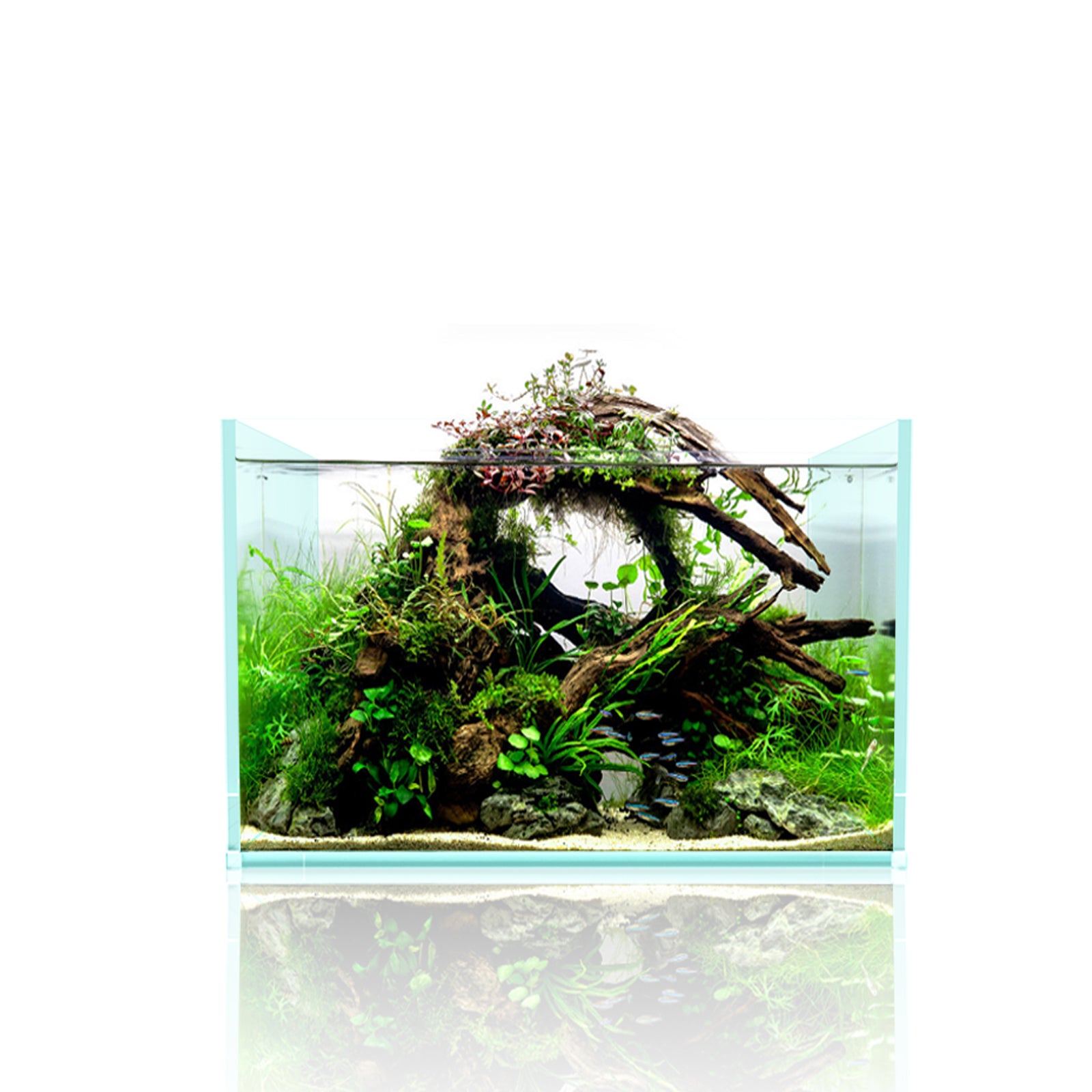 AQUARIUMS – Fzone Studio