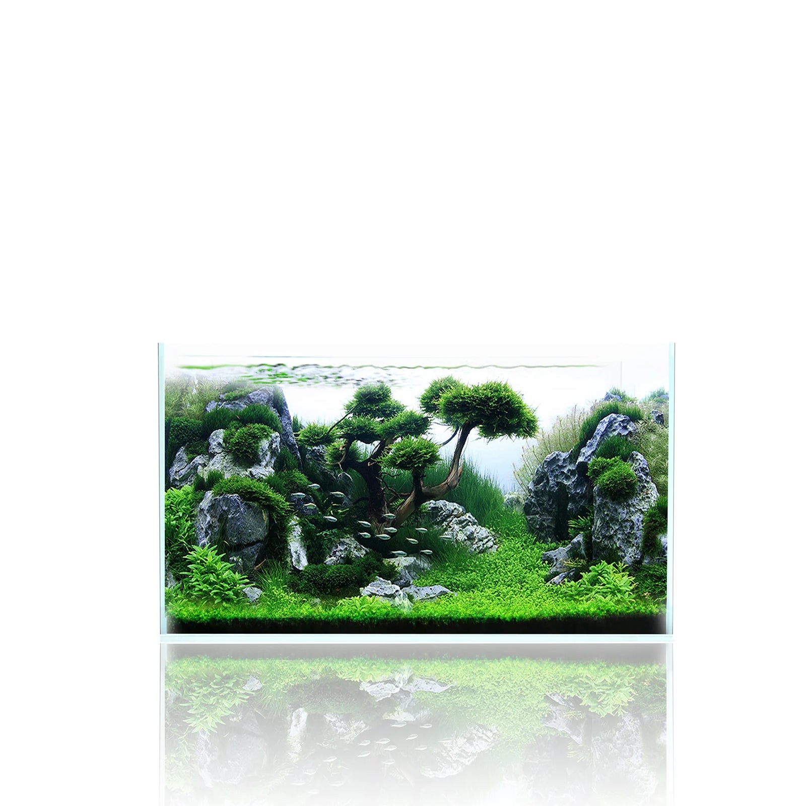 Shallow Series Rimless Aquariums – Fzone Studio