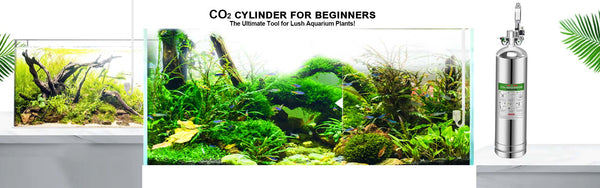 CO2 Generator Kit for Planted Aquariums – Fzone Studio