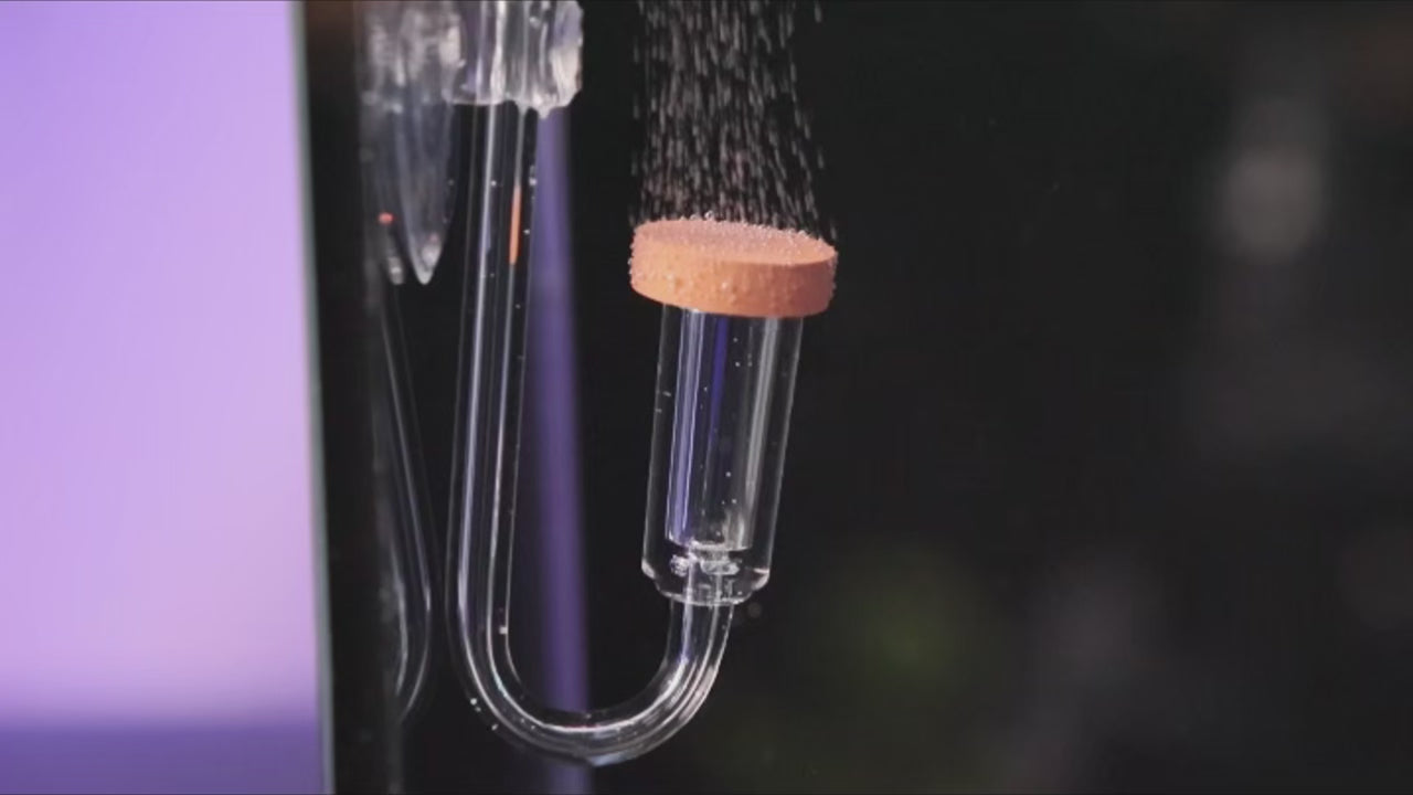FZONE ONI CO2 NEO STYLE CERRAMIC DIFFUSER FOR PLANTED